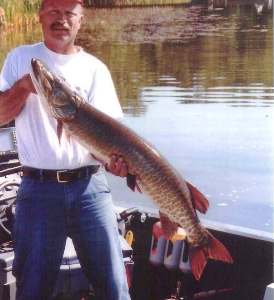 48 inch Muskie Sept. 2010